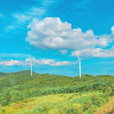 王国边境破解版下载