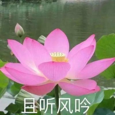 果盘桃园三国手游下载