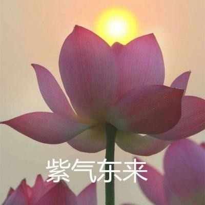 咯咯突袭官方下载